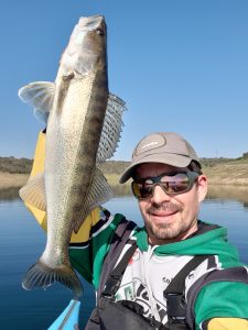 Lucioperca desde catamarán