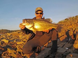 Black bass al atardecer