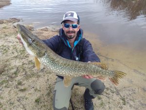 Nice pike in a jerkbait