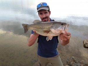 Black bass capturado con un squarebill