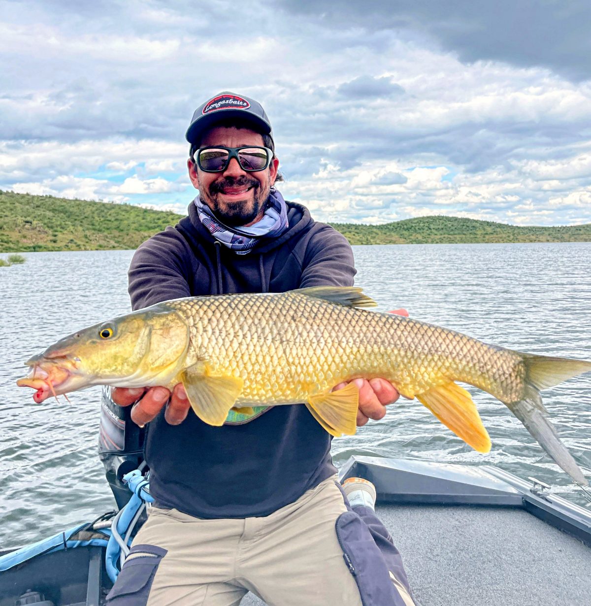 Iberian Barbel