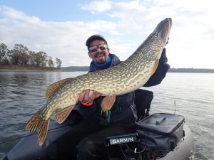 Pike from a float tube