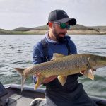 barbo comizo zujar