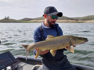 barbo comizo zujar