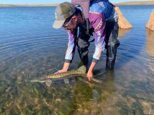 Nice pike from Sierra Brava