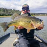 Señuelos top Orellana