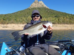 Black bass in a jig