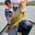 lunker garcia sola