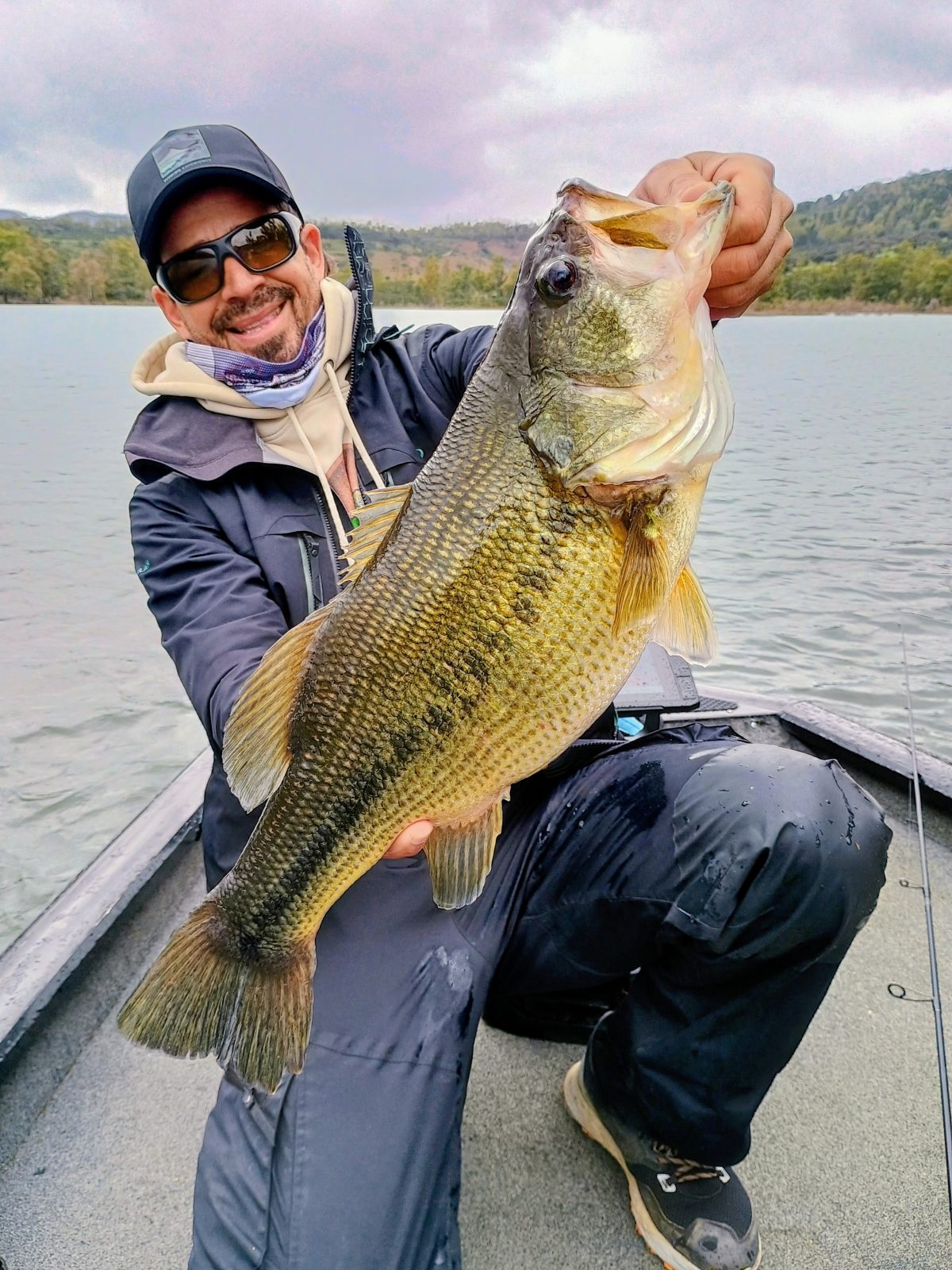 lunker garcia sola