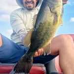 Señuelos top Alcántara