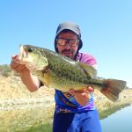 black bass post spawner