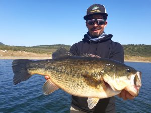 Extremadura fishing, big bass Orellana