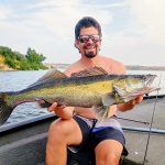 lucioperca top fishing