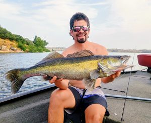 lucioperca top fishing