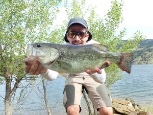 Black bass in a jerkbait