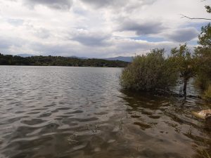 El Vellón lake