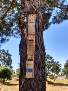 Nest box for insectivorous birds