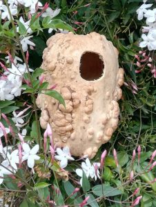 nest box