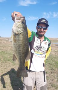 black bass Sierra Brava