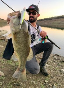 Black bass topwater