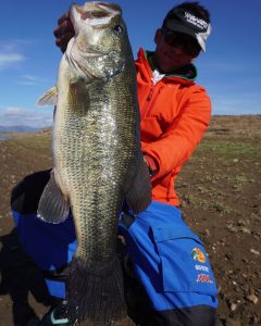 blackbass Sierra Brava