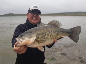 black bass Orellana