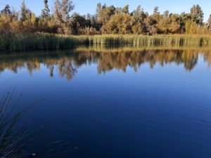 Fishing in gravel pits