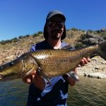 la pesca del barbo en Extremadura
