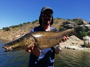 barbel fishing in Extremadura