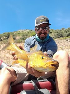 la pesca del barbo en Extremadura