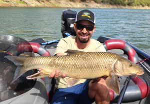 Extremadura fishing, Iberian barbel Guadiana