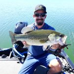 black bass Alqueva