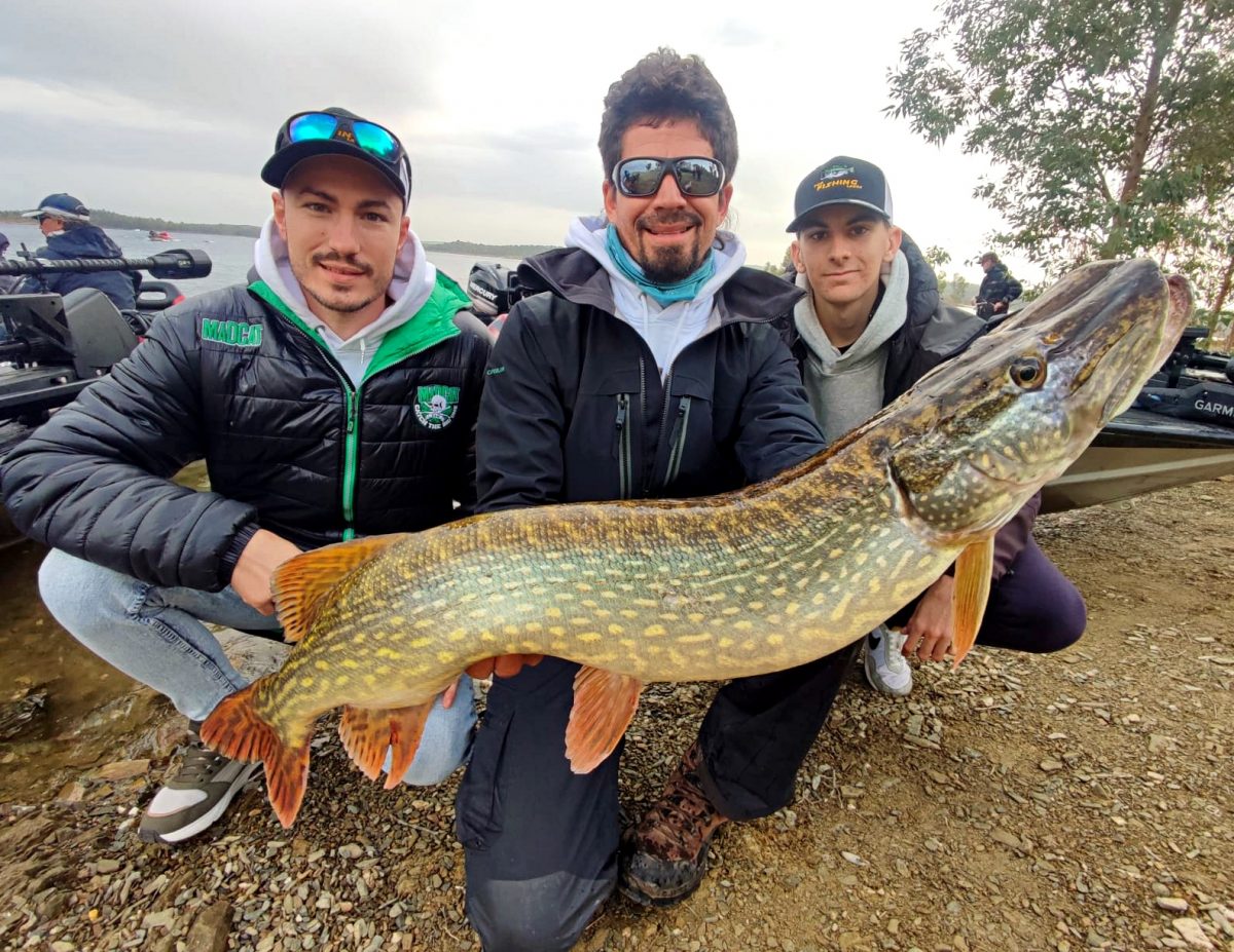 Pescar en Extremadura, lucio de Orellana