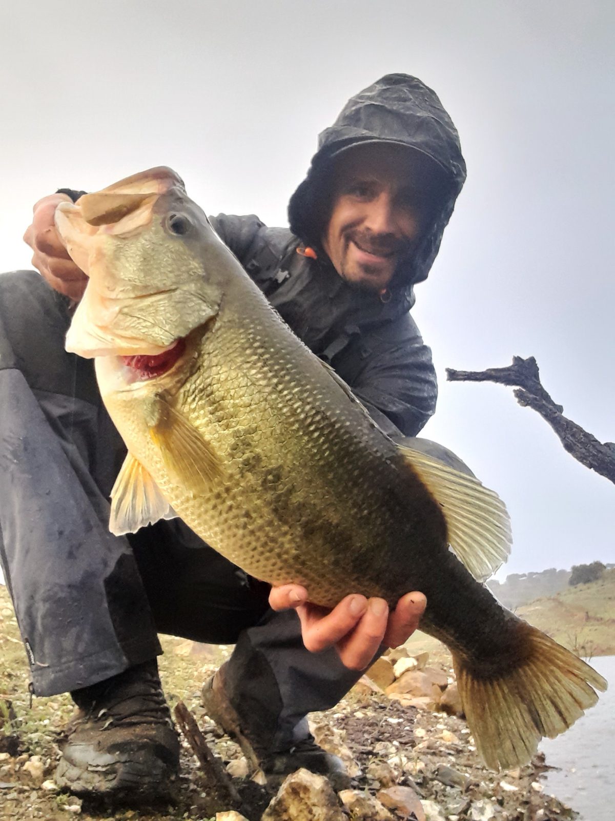 Black bass en Andalucía