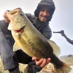 Black bass en Andalucía