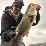 Black bass en Andalucia