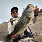 la pesca del black bass en Andalucía