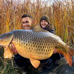 Carp from Boquerón lake