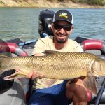 Barbel of Guadiana