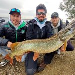 Fishing in Extremadura, Orellana pike