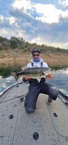 Black bass Portugal