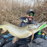 lucio swimbait