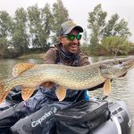 lucios en Extremadura