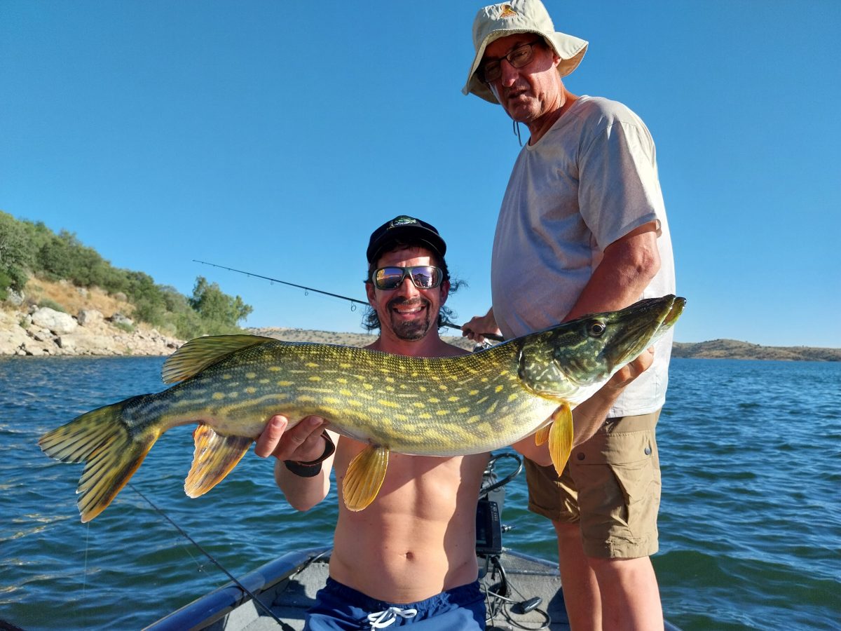 fishing for pikes in Extremadura