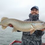 Extremadura pike