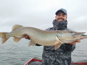 Extremadura pike