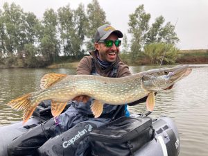 pikes in Extremadura