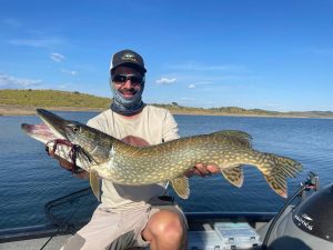 fishing for pikes in Extremadura