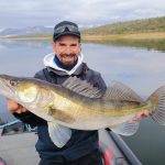 lucioperca en prefreza