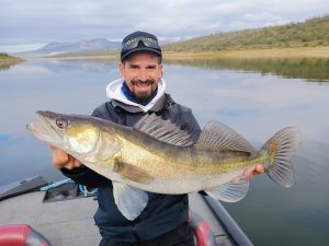 lucioperca en prefreza